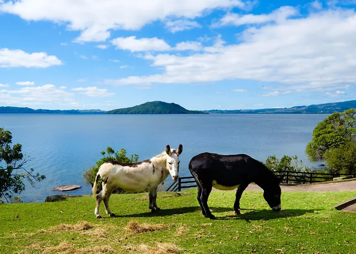 On The Point - 5* Rotorua